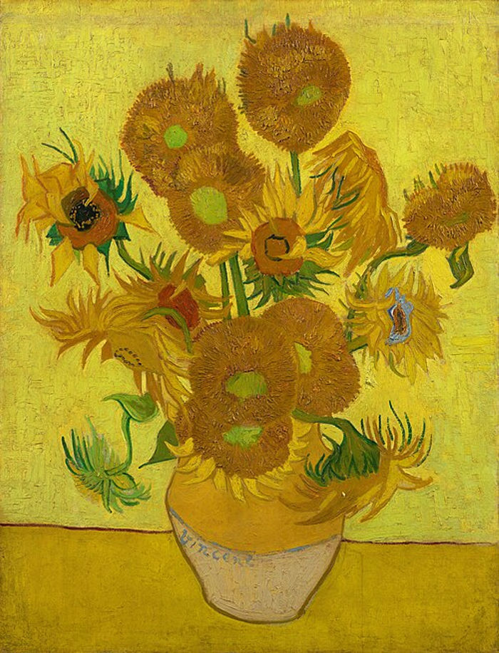 girasoles1