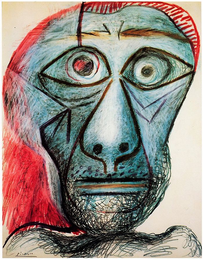 picasso13