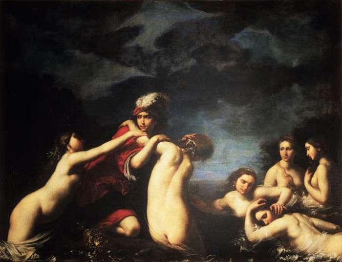hylas ninfas fiurini