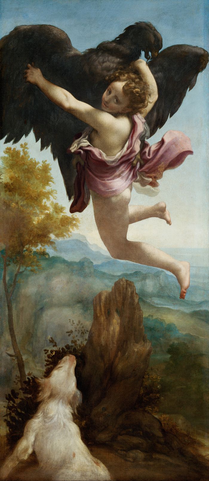 rapto de ganimedes correggio